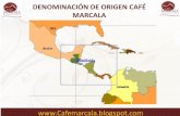 DENOMINACIÓN DE ORIGEN CAFÉ MARCALA · 2018-09-11 · 10 años garantizando calidad y origen. Diferenciación de precio/ Efecto dinamizador de la economía. Apropiación y valorización