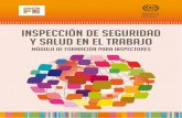INSPECCIÓN DE SEGURIDAD Y SALUD EN EL TRABAJO · 2018-10-06 · G.La Resolución Nº 953/2010: Criterios de seguridad respecto de las tareas ejecutadas en espacios confinados H.La