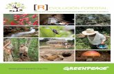 R EVOLUCIÓN FORESTAL · 2018-11-05 · 6. EVOLUCIÓN FORESTAL. Hacia una nueva política forestal para detener el cambio climático [R] en valorar el estado de un ecosistema con