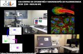 CAI-CENTRO DE CITOMETRÍA Y MICROSCOPÍA DE …a de flujo y microscopía de... · La citometría de flujo es una técnica analítica que permite la cuantificación de características