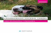 LEISHMANIASIS VISCERAL CANINA - SENASA...La detección temprana y la notificación inmediata de casos de leishmaniasis visceral canina son fun - damentales para la implementación