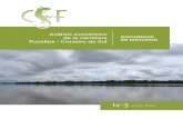 Análisis económico de la carretera DOCUMENTO Pucallpa ... · Superficie de la Amazonía con tierras de protección ecológica y potencial productivo, 2007. Medición satelital (hectáreas)
