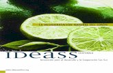 IDEASS · El proceso de producción, deshidratado y exportación del limón constituye una experiencia innovadora dado que ha permitido introducción de tecnologías apropiadas, ampliación