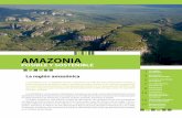 La región amazónica · La frontera agropecuaria y el ordenamiento territorial Valoración: alcances e incertidumbres ... 4,9% del área continental mundial, y cubre extensiones