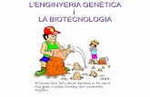 L'ENGINYERIA GENÈTICA i LA BIOTECNOLOGIAcosmolinux.no-ip.org/recursos_aula/BIO1erBAT/... · L'enginyeria genètica i la biotecnologia Tècniques per introduir gens en cèl·lules.