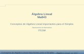 Álgebra Lineal Ma843cb.mty.itesm.mx/ma1010/materiales/a843-21b.pdf · resolver sistemas de ecuaciones lineales. Y por consiguiente, prácticamente la totalidad de los temas tiene