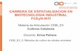 CARRERA DE ESPECIALIZACION EN BIOTECNOLOGIA …biotecnologiaindustrial.fcen.uba.ar/wp-content/... · TABLA DE GUÍA PARA LA SIEMBRA DE CÉLULAS. Número de células/mL: (L1 + L2 +