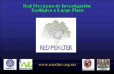 Red Mexicana de Investigación Ecológica a Largo Plazo · 2015-06-19 · Duración de los estudiosde observación y experimentaciónen Ecología Duración de los estudiosde observación