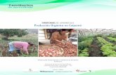TerriTorios de aprendizaje producción orgánica en Coipomóamericalatina.procasur.org/images/2015/pdf_territo/... · 2017-07-29 · Luego de muchas crisis internas, la planta lechera