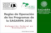 Presentación de PowerPoint RO Programas SAGARPA 2016 Gto Ganadería.pdfInfraestructura, Maquinaria y Equipo Post Productivo Pecuario 19 3. Programa de Fomento Ganadero Requisitos