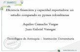 Eficiencia financiera y capacidad exportadora: un estudio ... · •Escandón & Hurtado (2014a). Factores que influyen en el desarrollo exportador de las pymes en Colombia. •Martínez