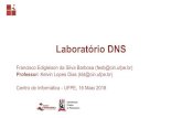 Laboratório DNSkld/labs/Laboratorio_DNS.pdf · Bind9 BIND (Berkeley Internet Name Domain ou, como chamado previamente, Berkeley Internet Name Daemon) é o servidor para o protocolo