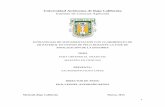 Universidad Autónoma de Baja California Instituto de ...ica.mxl.uabc.mx/mspa/tesis/Soto Lopez Sacramento.pdf · de órganos viscerales y el rendimiento de cortes primarios en ovinos