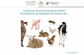 Presentación de PowerPoint · 2019-05-14 · •NOM-024-ZOO-1995, Especificaciones y características zoosanitarias para el transporte de animales, sus productos y subproductos,