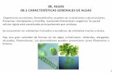 08. ALGAS 08.1 CARACTERÍSTICAS GENERALES DE …depa.fquim.unam.mx/microbio/1410MG-06/T-Presentaciones/...· Algunas algas macroscópicas se utilizan en la industria alimentaria como