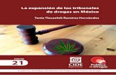 Tania Tlacaelelt Ramírez Hernández - PPDppd.cide.edu/documents/302668/0/21_CIDE3.pdfto de Adicciones del estado de Morelos) (Baran-da, 2015). La guerra contra el narcotráfico, declarada