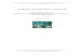 Tortuga carey – Eretmochelys imbricata (Linnaeus, 1766)digital.csic.es/bitstream/10261/108711/5/ereimb_v2.pdf · Como en las otras especies de tortugas marinas, en individuos adultos