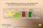 GUIA AMBIENTAL PARA LA DISTRIBUCION DE GAS NATURAL ...de gas natural vehicular gnv guia ambiental para la distribucion de gas natural vehicular gnv estacion de regulacion y medicion