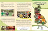Asociación de Productores HUALGAYOC - BAMBAMARCA ... agroeco... · APPESAM es socio del movimiento internacional Slow Food, el cual lo declaró como baluarte de tres frutas andinas: