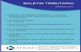BOLETIN TRIBUTARIO · 2019-03-28 · BOLETIN TRIBUTARIO EDICION No. 5, 2013 1. Editorial: Haití y República Dominicana. Los aspectos impositivos que dañan nuestras relaciones comerciales.