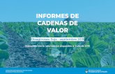 INFORMES DE CADENAS DE VALOR - Argentina · de semillas, siembra de oleaginosas en campos propios y producción de fertilizantes. Asimismo, la mayoría posee plantas de almacenamiento