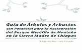 Guía de Árboles y Arbustos - pronatura-sur...2 3 rb rbust ot Guía de Árboles y Arbustos con Potencial para la Restauración del Bosque Mesófilo de Montaña en la Sierra Madre