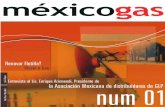 Contenido - MEXICOGAS · 2015-01-29 · de la Norma Internacional ISO/IEC/17020-1998 y armonizada con la Norma Nacional NMX-EC-17020-IMNC-2000 que aseguran la calidad de los servicios