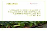 “ANALISIS ECONOMICO Y FINANCIERO DE SISTEMAS ...cadenacacaoca.info/wp-content/uploads/2019/03/Analisis-cacao-saf-GT-GA.pdfContribuir a demostrar la viabilidad económica-financiera