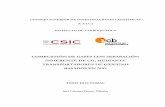 COMBUSTIÓN DE GASES CON SEPARACIÓN INHERENTE DE CO ...digital.csic.es/bitstream/10261/34326/3/(ICB) Tesis Cristina Dueso 2011.pdf · Juan Adánez Elorza, Profesor de Investigación,