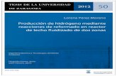 Producción de hidrógeno mediante reacciones de reformado ... · 2012 50 Lorena Pérez Moreno Producción de hidrógeno mediante reacciones de reformado en reactor de lecho fluidizado