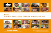 PERÚ. Síntesis del Estudio Talentos Rurales del Sur.americalatina.procasur.org/images/Taller_talentos/Resumen_Peru.pdf · que su comunidad, organización y otros actores hacen de