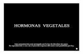 064b hormonas vegetales - Botánica en Líneabotanicarum.weebly.com/uploads/5/4/7/6/54762723/064b...Efectos • Las auxinas promueven el desarrollo de la pared del ovario, la cual