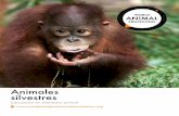 Animales silvestres...9 Animales silvestres - Educación en bienestar animal • Hoja de trabajo con factores “¿Por qué los animales se extinguen / o se ven amenazados?” (que