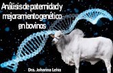 Análisis de paternidad y mejoramiento genético en bovinos · ha basado fundamentalmente en la comercialización de sementales y pie de cría con registro genealógico (pedigrí),