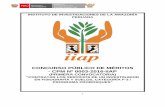 CONCURSO PÚBLICO DE MÉRITOS - CPM Nº 0003 …2 Instituto de Investigaciones de la Amazonía Peruana - IIAP BASES DEL CONCURSO PUBLICO DE MERITOS CPM Nº 0003-2016-IIAP (PRIMERA