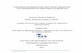 VARIABLES EXTERNAS QUE AFECTAN EL RIESGO DE LAS … · 2018-07-03 · Variables externas que afectan el riesgo de las inversiones en mercadeo La información presentada en este documento