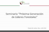 Seminario “Próxima Generación de Líderes Forestalesmegaflorestais.org/wp-content/uploads/2016/09/ESP-Miguel-Angel-Soto_Intro-a-Oaxaca.pdfDIVERSIDAD CULTURAL: 16 grupos étnicos