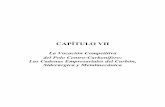 La Vocación Competitiva del Polo Centro-Carbonífero: Las ... VII.pdf · Las principales actividades económicas en la Subregión Centro son la siderurgica y la minería. En Monclova