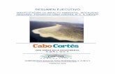 Resumen ejtvo Cabo Cortescabopulmovivo.org/portal/wp-content/uploads/MIA_cabocortes.pdf · los efectos en los procesos fundamentales de interacción de lo que será el desarrollo