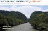 BIODIVERSIDAD Y DESARROLLO, PUTUMAYO Genera (Panel Biodiversidad y Desarrollo Sostenible).pdfAmazonía, en la cuenca alta de los ríos Putumayo y Caquetá: • Contribuyendo a los