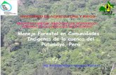 Manejo Forestal en Comunidades Indígenas de la cuenca del … · MINISTERIO DE AGRICULTURA Y RIEGO PROYECTO ESPECIAL BINACIONAL DE DESARROLLO INTEGRAL DE LA CUENCA DEL RIO PUTUMAYO