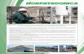NORPATAGONICA es una empresa que se …NORPATAGONICA es una empresa que se especializa en el desarrollo y elaboración de productos quí-micos para la producción de Petróleo, Gas