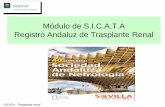 Módulo de S.I.C.A.T.A Registro Andaluz de Trasplante Renald284f45nftegze.cloudfront.net/Redqualitas/4... · Mercedes Cabello Díaz . H. Virgen del Rocío (H. Infantil) – Sevilla: