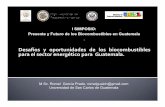 I SIMPOSIO: Presente y Futuro de los Biocombustibles en … · 2010-08-16 · Desafíos y oportunidades de los biocombustibles para el sector energético para Guatemala. I SIMPOSIO: