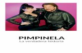 PIMPINELA, LA VERDADERA HISTORIA · 90 donde la competencia, las adicciones y los excesos conviven con el negocio, recorre la vida personal y profesional del dúo Pimpinela: La interrelación