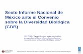 Sexto Informe Nacional de México ante el Convenio sobre la ... · Educación y cultura ambiental Cuentas ambientales e integración de la biodiversidad Subsidios Sostenibilidad de
