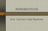 XENOBIOTICOS · 2016-09-03 · XENOBIOTICOS Dra. Carmen Aída Martínez . cadenas alquílicas anillos aromáticos saturadas, insaturadas Lipofilicos halógenos atraviesan con facilidad