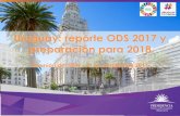Uruguay: reporte ODS 2017 y preparación para 2018...• Servicios de banda ancha de acceso a internet se triplicaron en el período 2009 – 2015. Infraestructura de caminería rural: