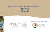 DESIGNACIONES INTERNACIONALES CONANP RAMSARpaot.org.mx/contenidos/paot_docs/talller... · -En 5 años se han ejercido $106, 442, 490.74 en pago por Servicios Ambientales en manglares