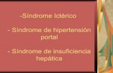 - Síndrome de insuficiencia portal - Síndrome de ...semiologiahnc.webs.fcm.unc.edu.ar/files/2019/08/... · Síndrome Ictérico •La ictericia es la coloración amarillenta de la